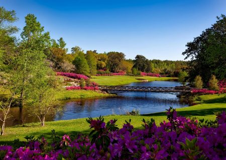 pexels-pixabay-158063